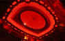 Ceiling1.jpg (68869 bytes)
