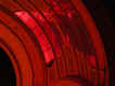 Solo1.jpg (77333 bytes)