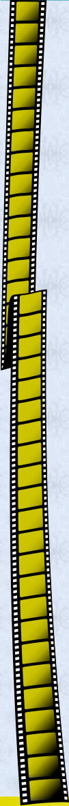 img33.jpg